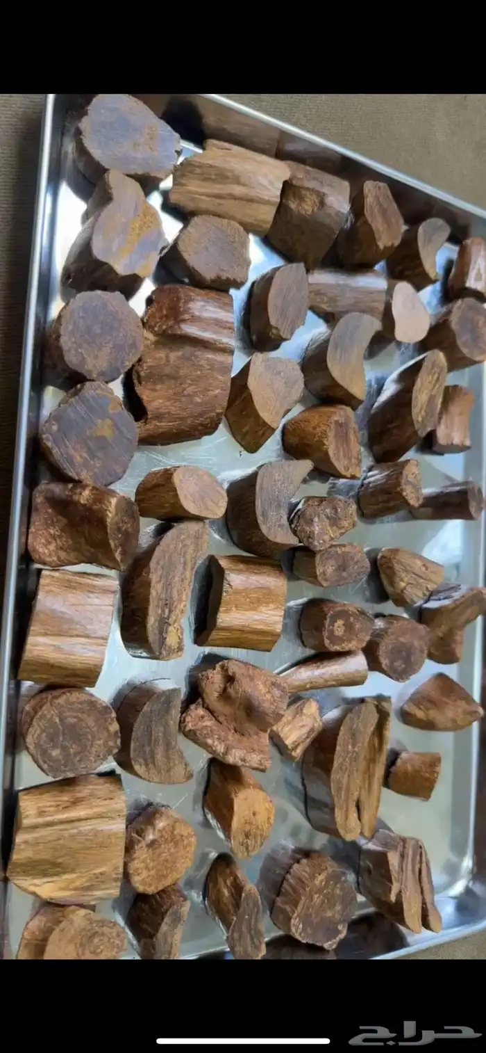 عود مروكي اصقون صكوك قديم جدا 1