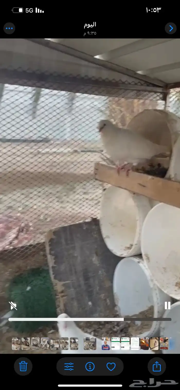 6ازواج منتجه صحتها ممتازه 2