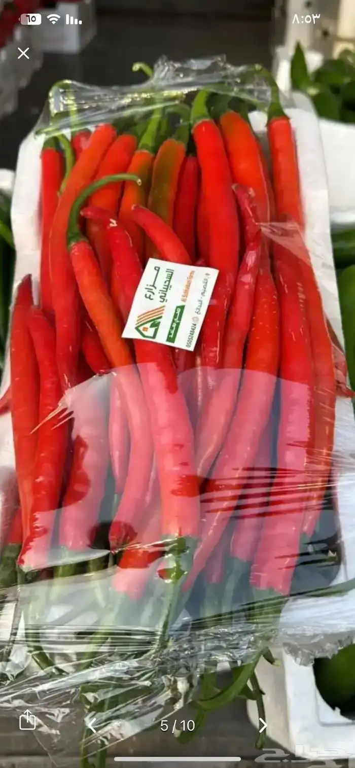 نقوم بتوفير خضار للمطاعم والمحلات طازج يوميا 0