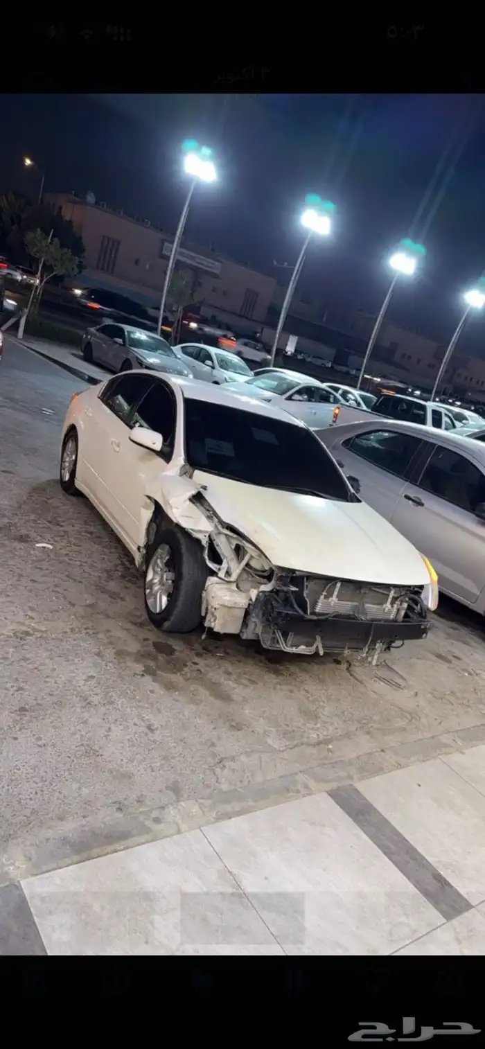 التيماء2012 1