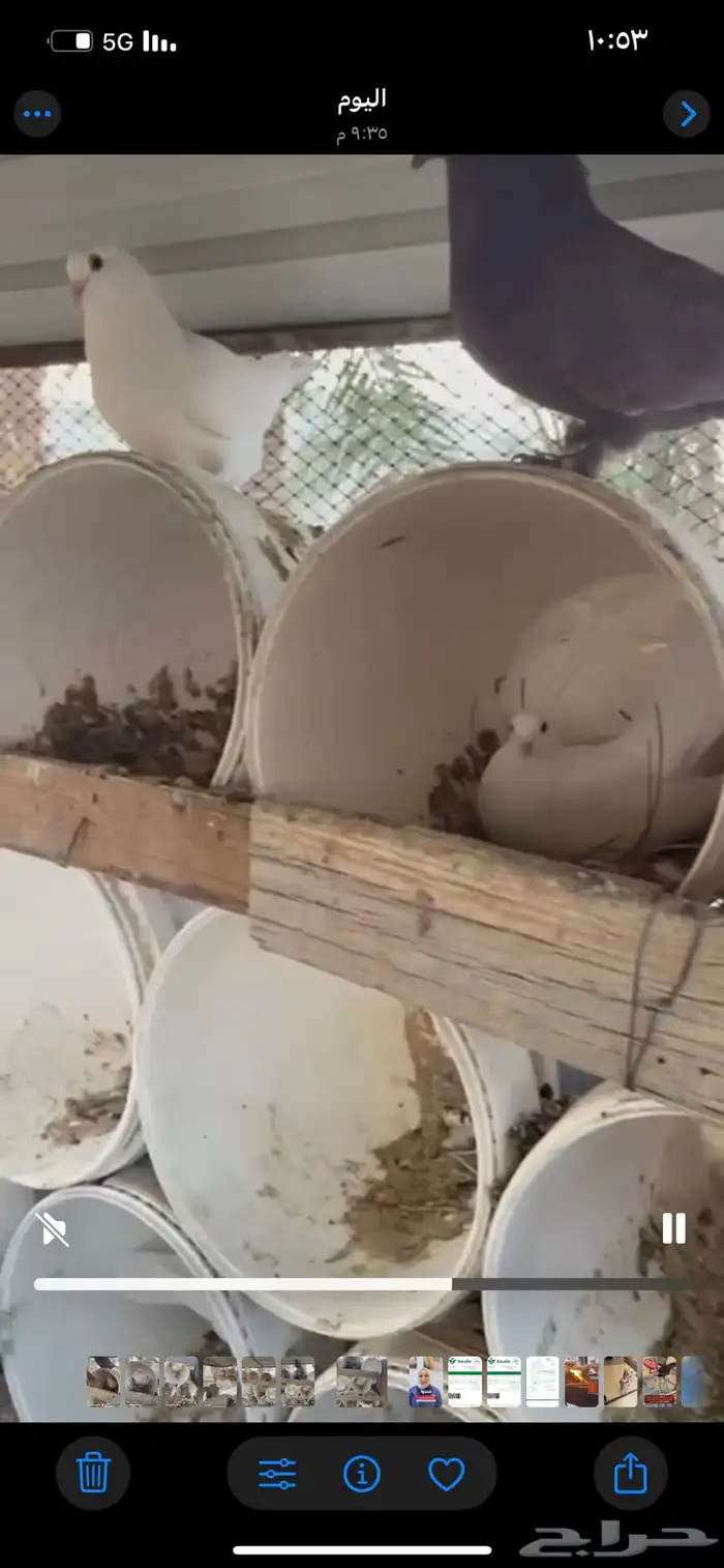 6ازواج منتجه صحتها ممتازه 3