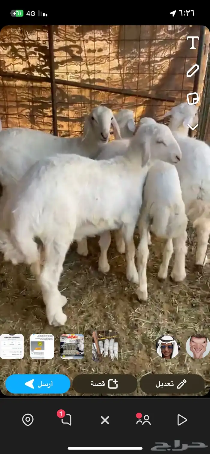 للبيع بهم حري 0