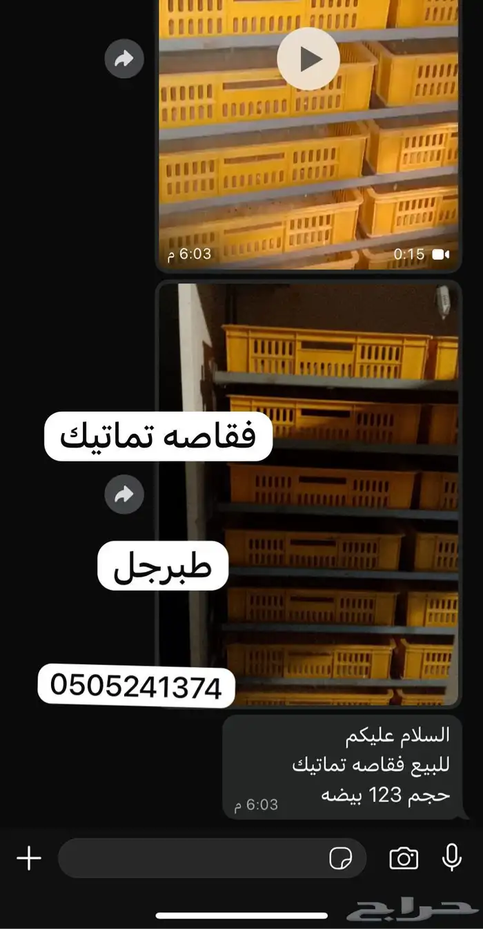 فقاصه تماتيك 1232بيضه 0