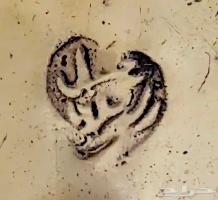 دله مبهاره عمل رسلان الأب 14