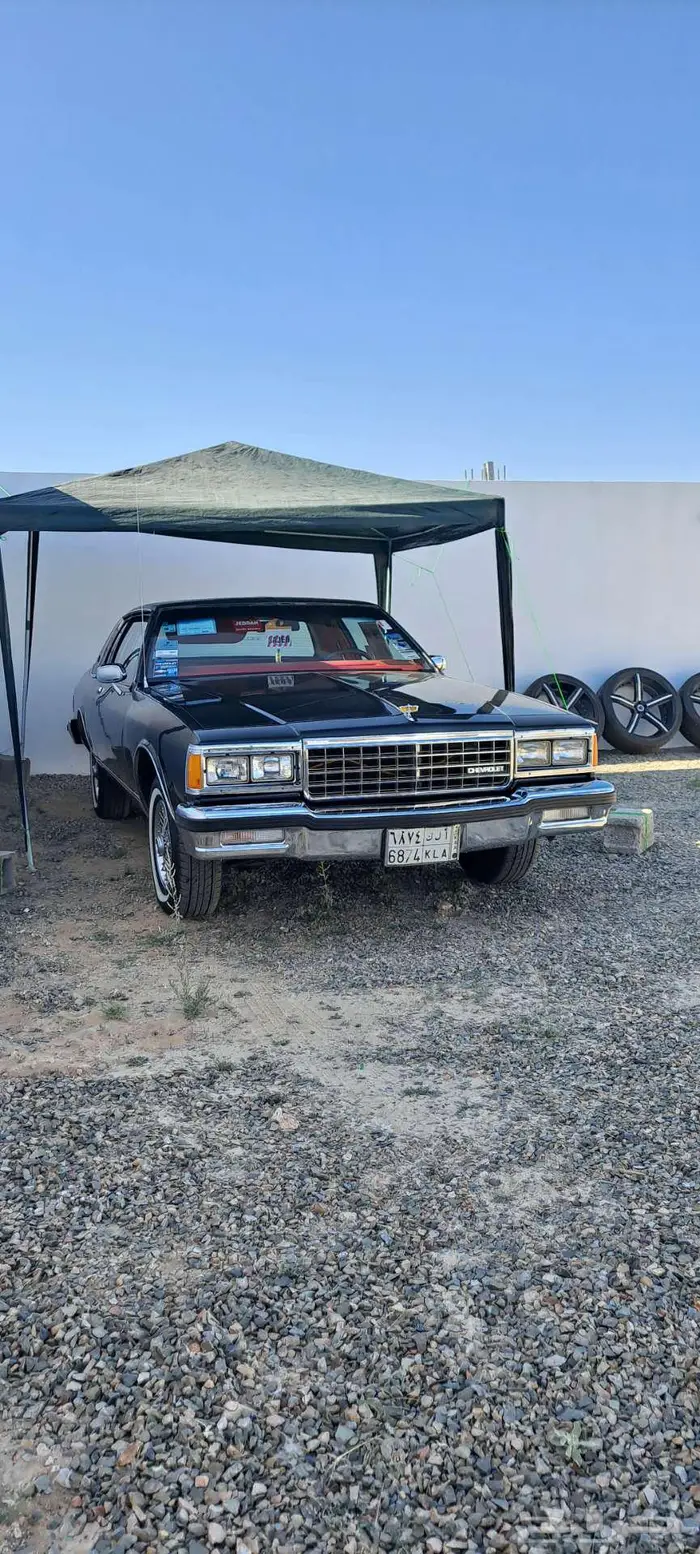 نوادر كابرس كوبيه لاندو 14