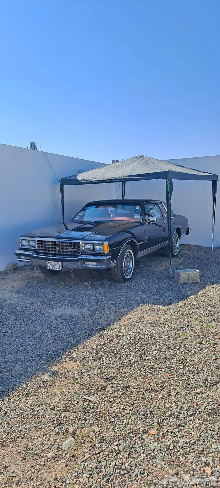 نوادر كابرس كوبيه لاندو 15