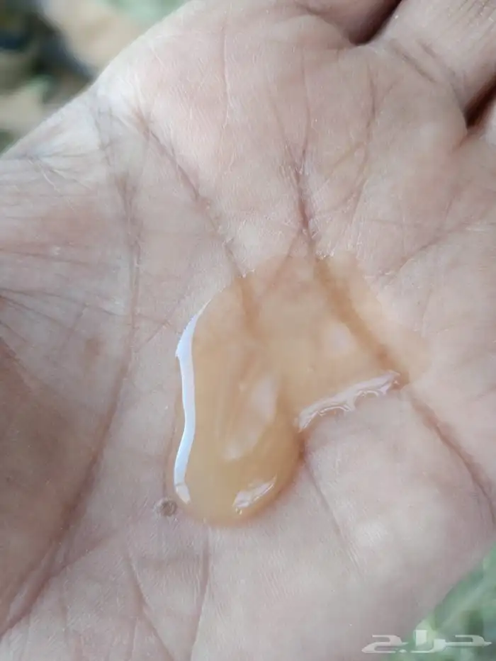 عنز عارضيه 2