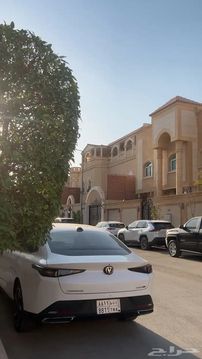 شانجان ايدو بلص 2025 6