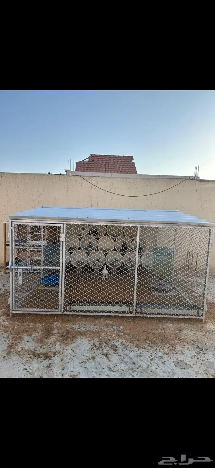 عشه حمام شبك مع الحمام 0