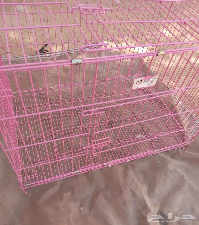 البدائع القصيم 0