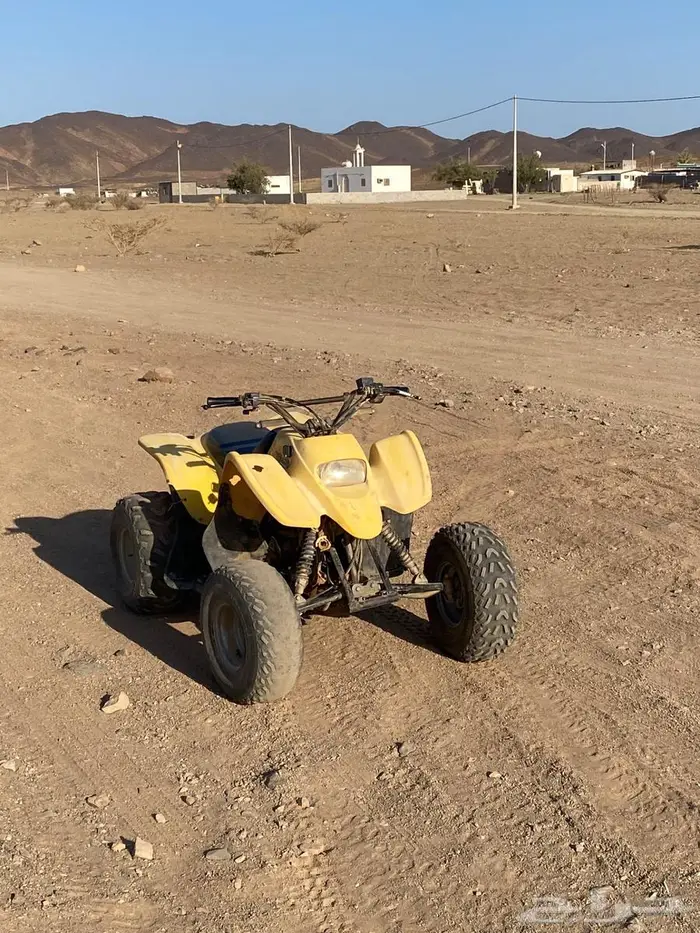 دباب للبيع 0