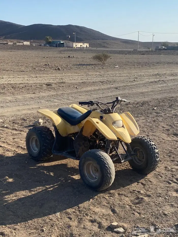 دباب للبيع 1