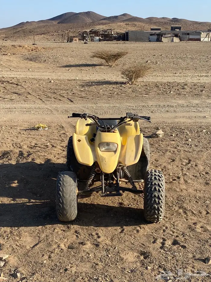 دباب للبيع 3