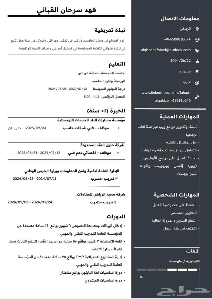 سيرة ذاتية احترافية 1