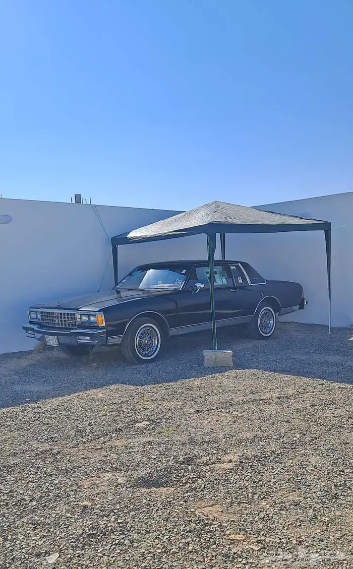 نوادر كابرس كوبيه لاندو 13