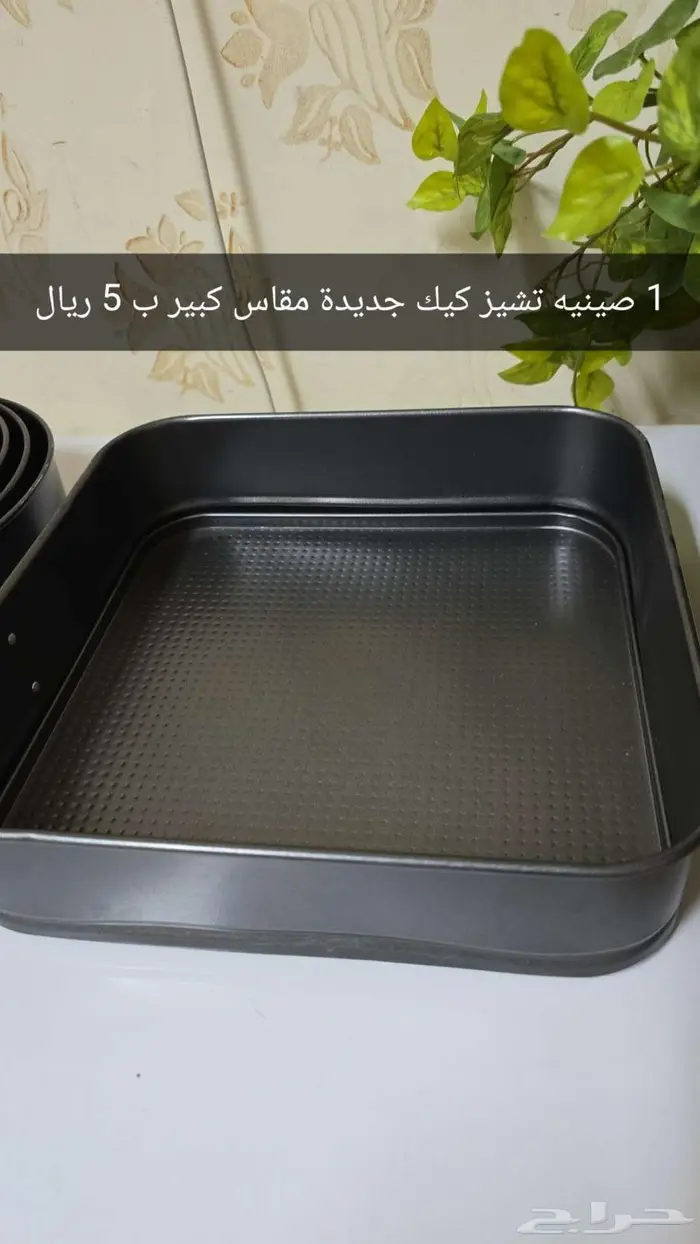 صواني تشيز كيك   كيك 2