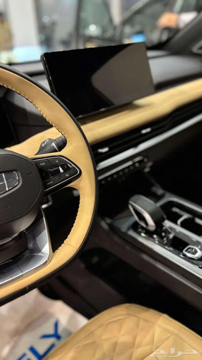 جيلي اوكافنجوا 2025 82.700 شامل كل شيء 6