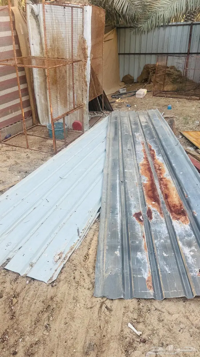 شينكو مستخدم 4