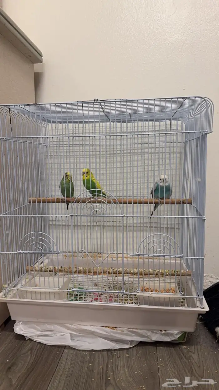 الدمام حي المنار 0