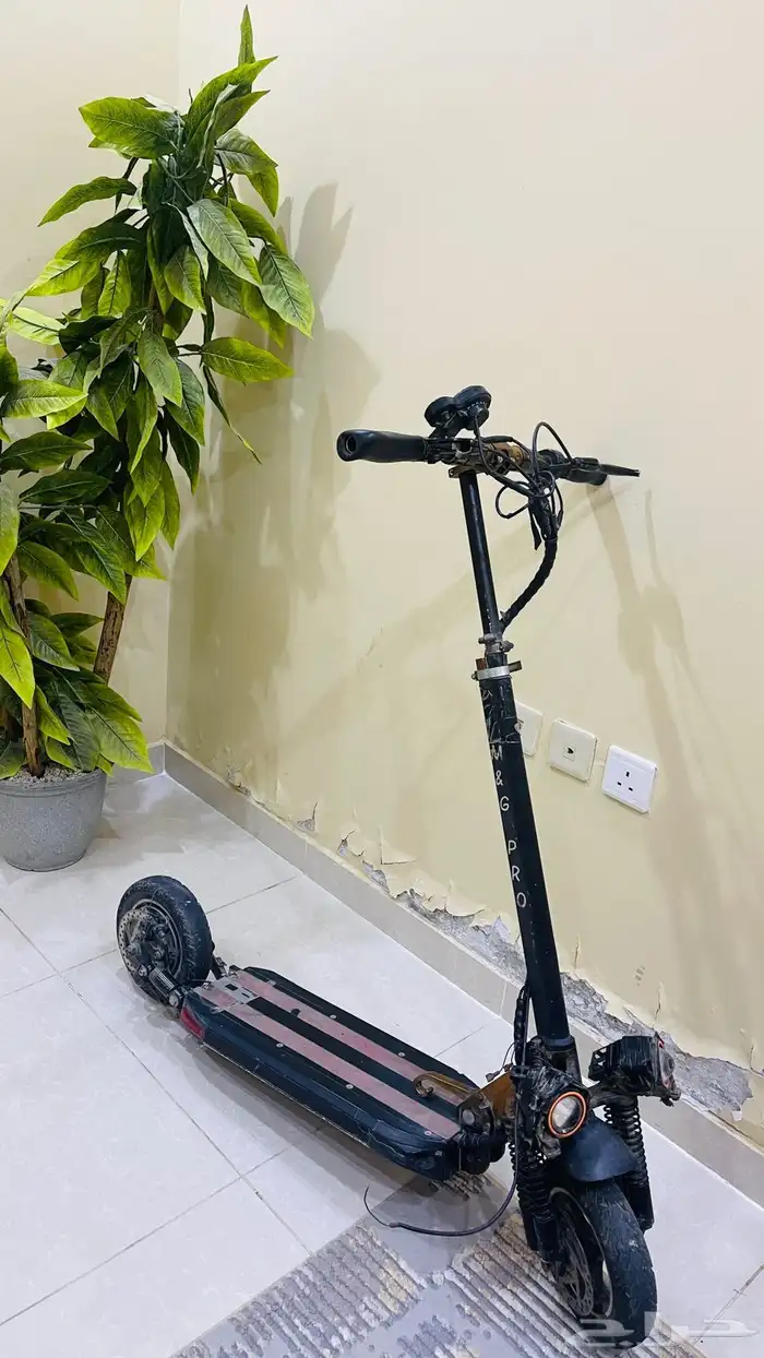 سيكل للكبار 3