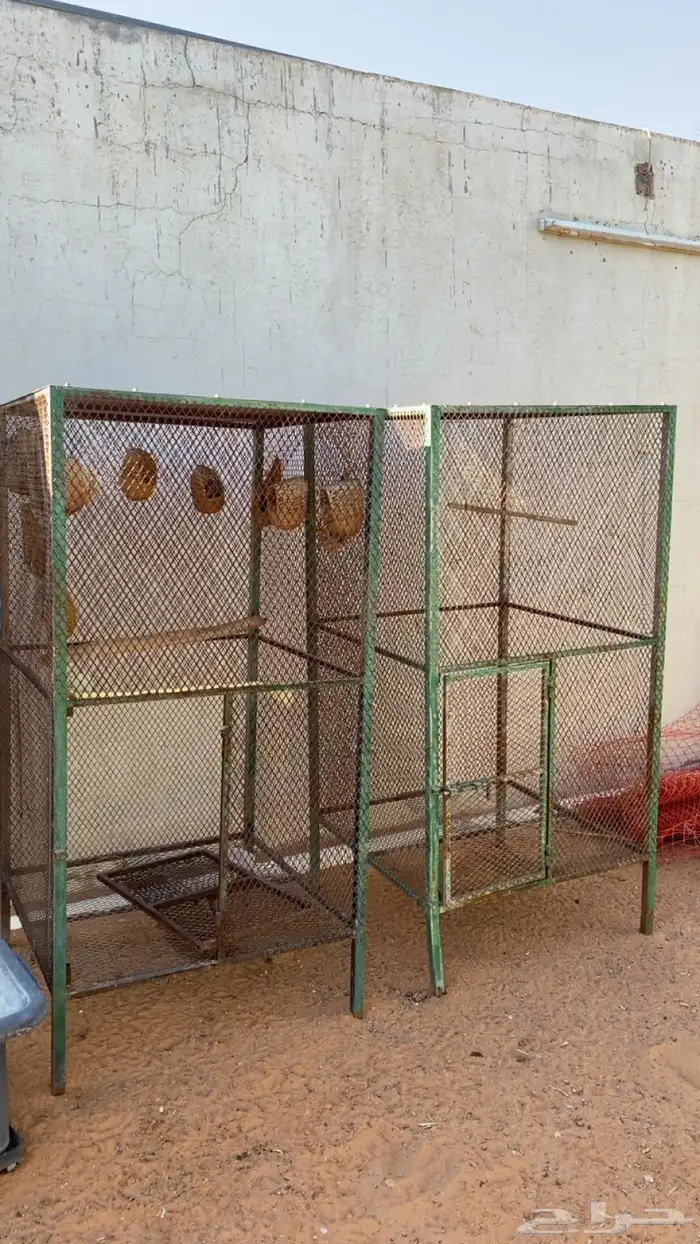 فقاسات   شبوك طيور  حضانات بيض للحمام 3