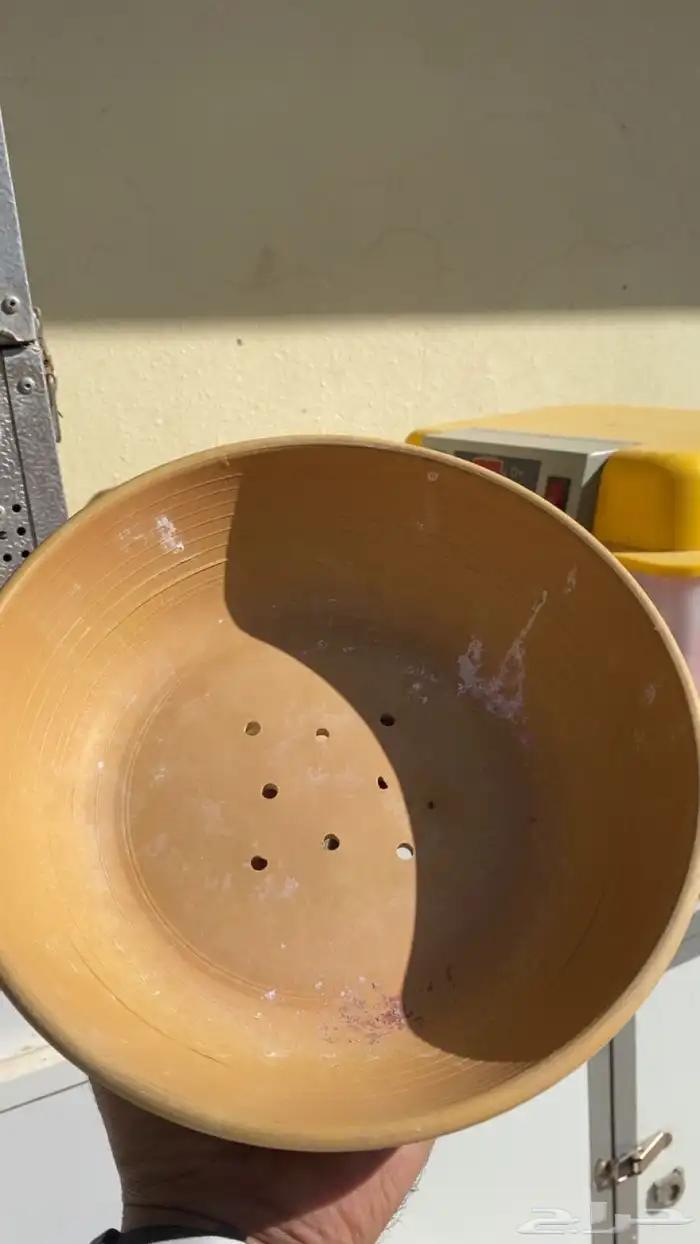 فقاسات   شبوك طيور  حضانات بيض للحمام 5