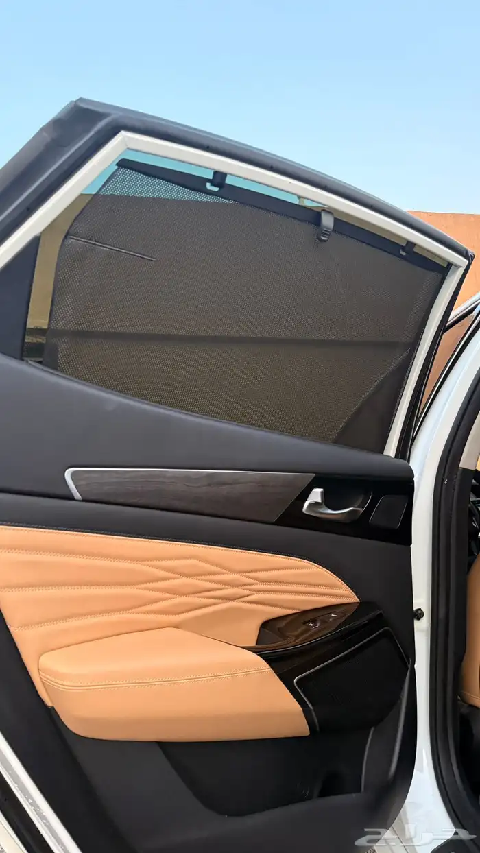 كيا كادينزا 2020 ( بنزين ) فل كامل بانوراما 13