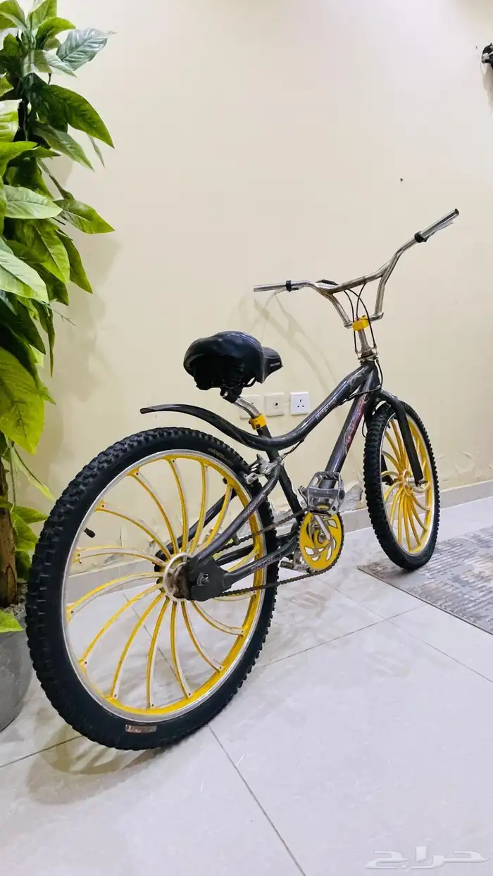 سيكل للكبار 1