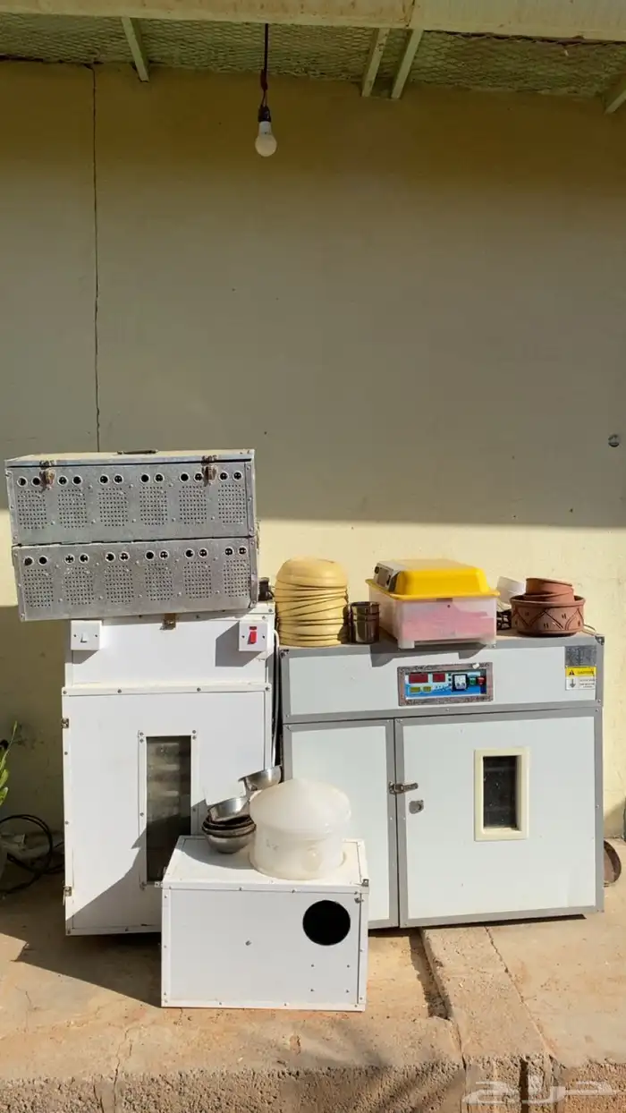 فقاسات   شبوك طيور  حضانات بيض للحمام 0