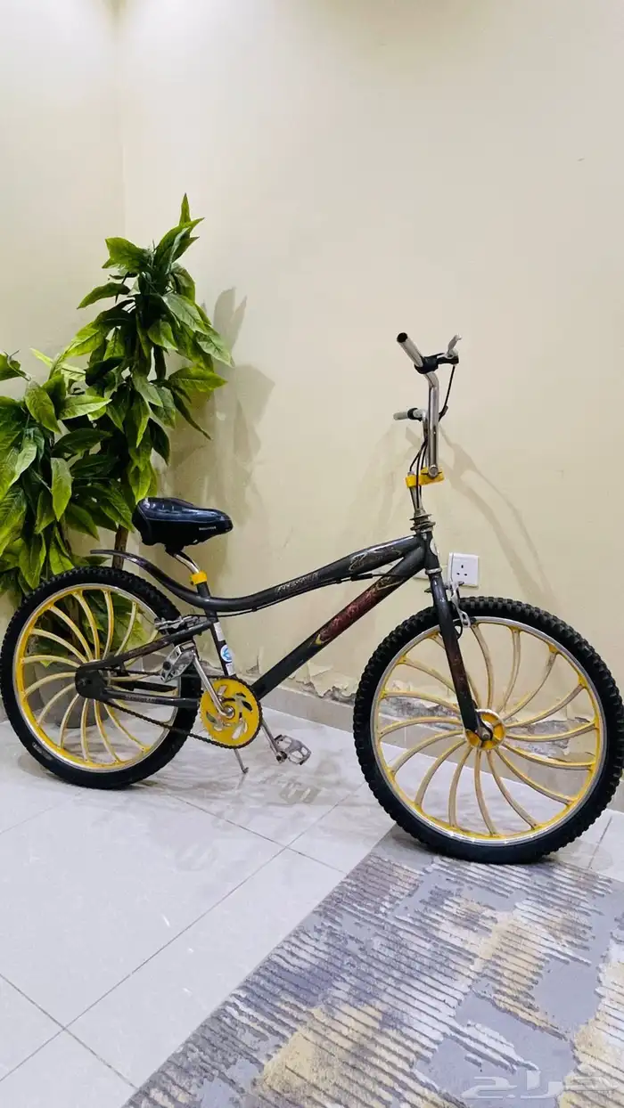 سيكل للكبار 0