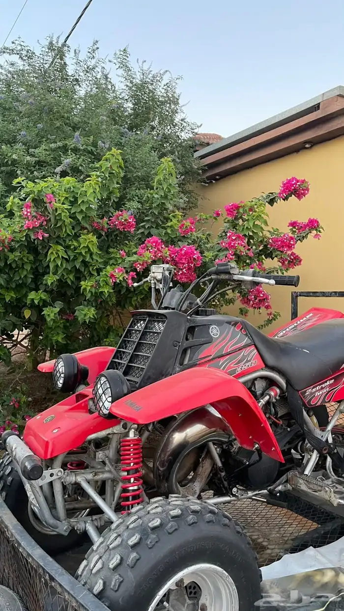 بانشي للبيع 3