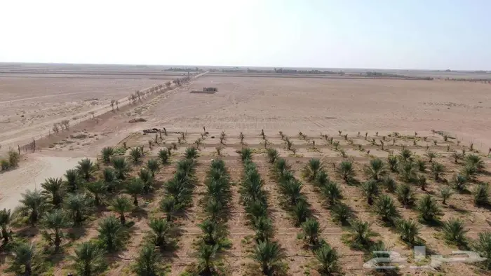 مزرعة للبيع 6