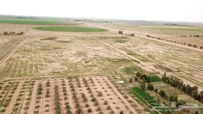 مزرعة للبيع 8