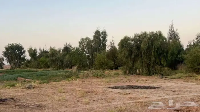 مزرعة للبيع 16