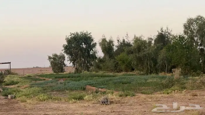 مزرعة للبيع 13