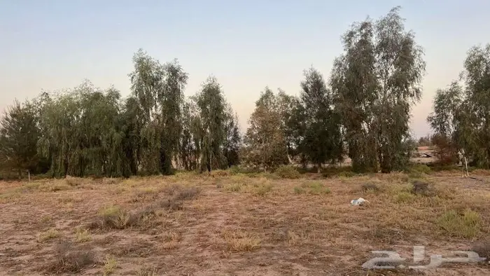 مزرعة للبيع 9