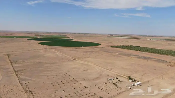 مزرعة للبيع 1