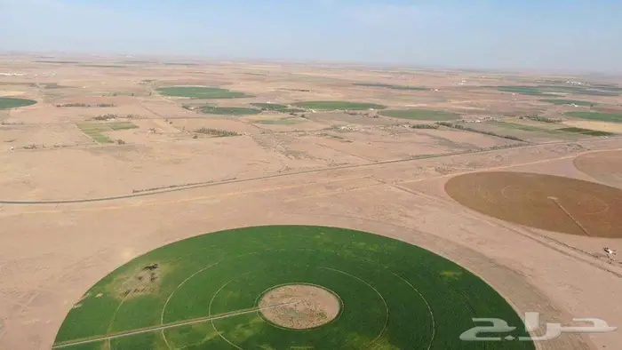 مزرعة للبيع 6