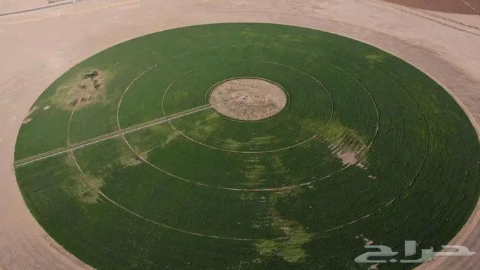 مزرعة للبيع 2