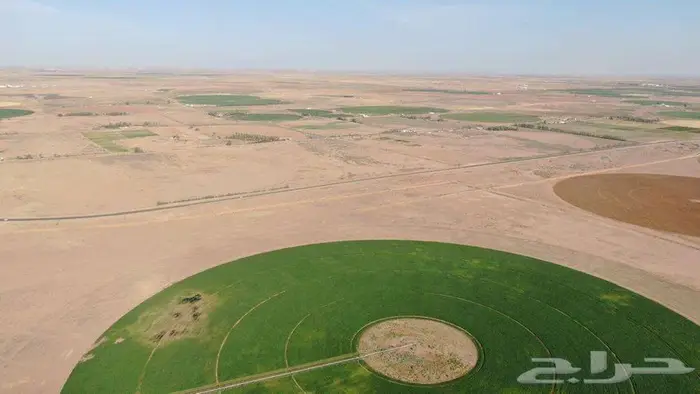 مزرعة للبيع 5