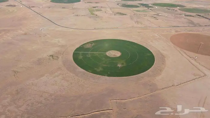 مزرعة للبيع 7