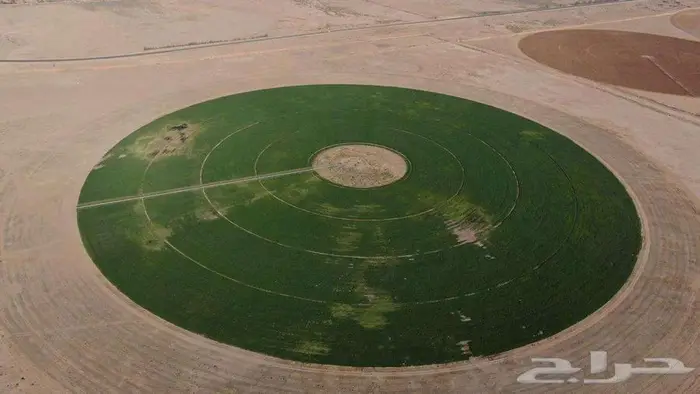 مزرعة للبيع 0