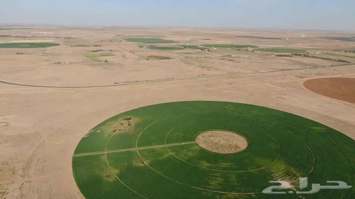 مزرعة للبيع 8