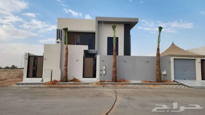 نخل للبيع واشنطن نخل واشنطني زينة 9