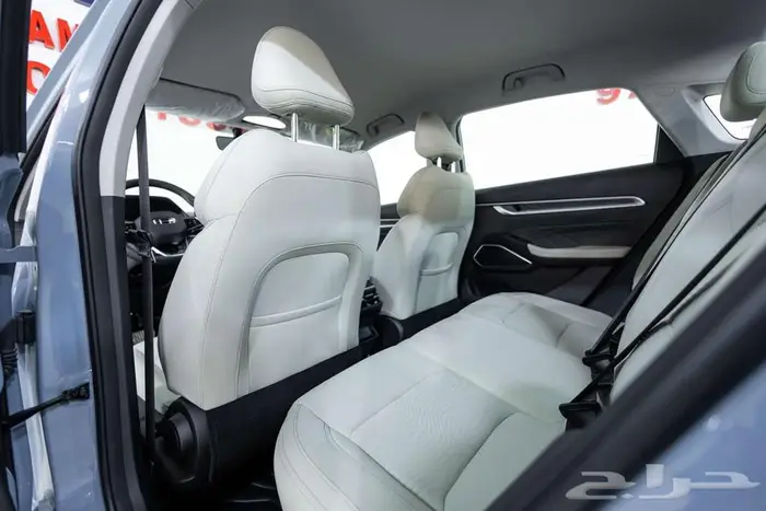 جيلي امجراند GS ستاندر 2026 كاش و اقساط 14