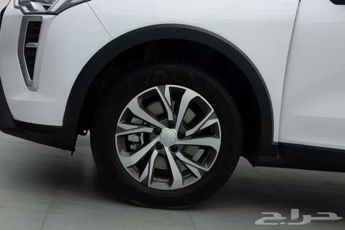 هافال جوليان بيسك 2026 قسطها بكل سهوله مع الدمعان 4