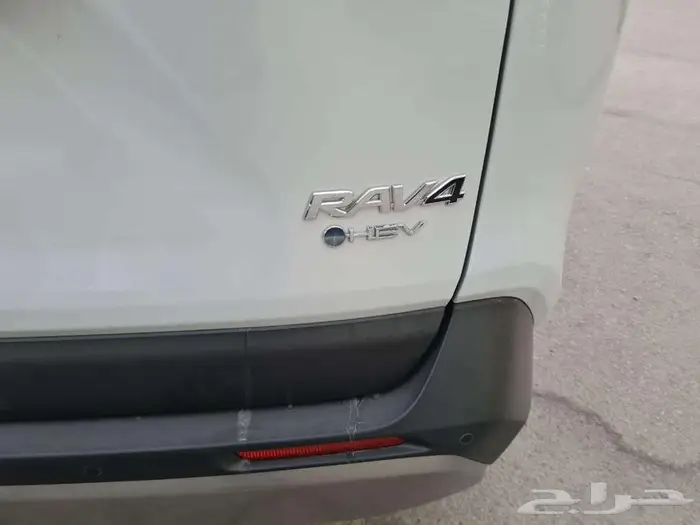 بريدة حي الجزيرة المعارض 11