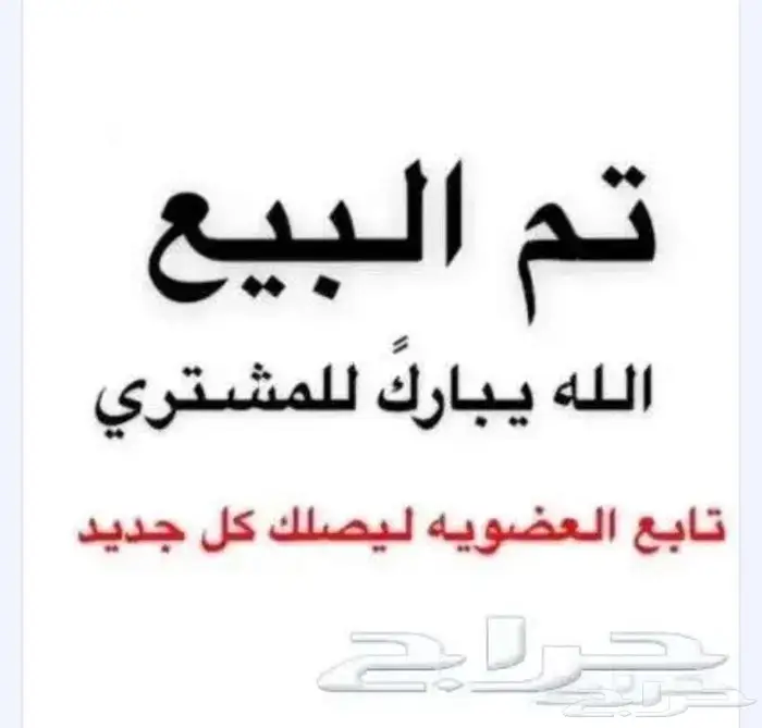 جوز ذكر جاكوبيين وإنث بلجيكي معهم فرخ 0