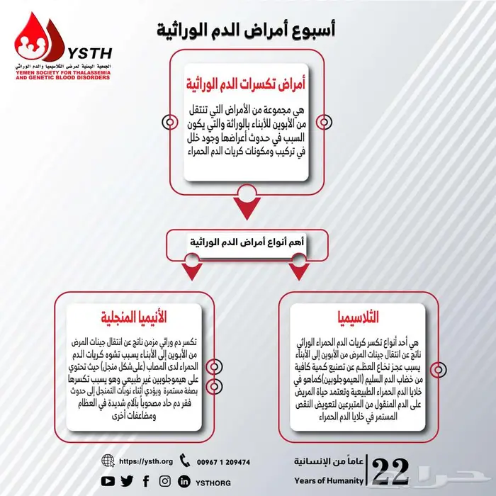 تصميم الإنفوجرافيك 4