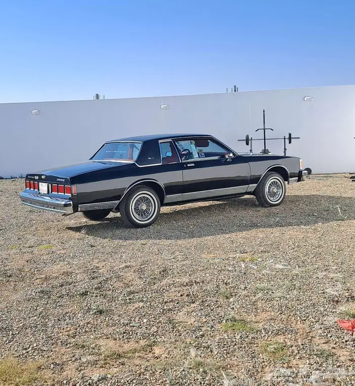 نوادر كابرس كوبيه لاندو 17